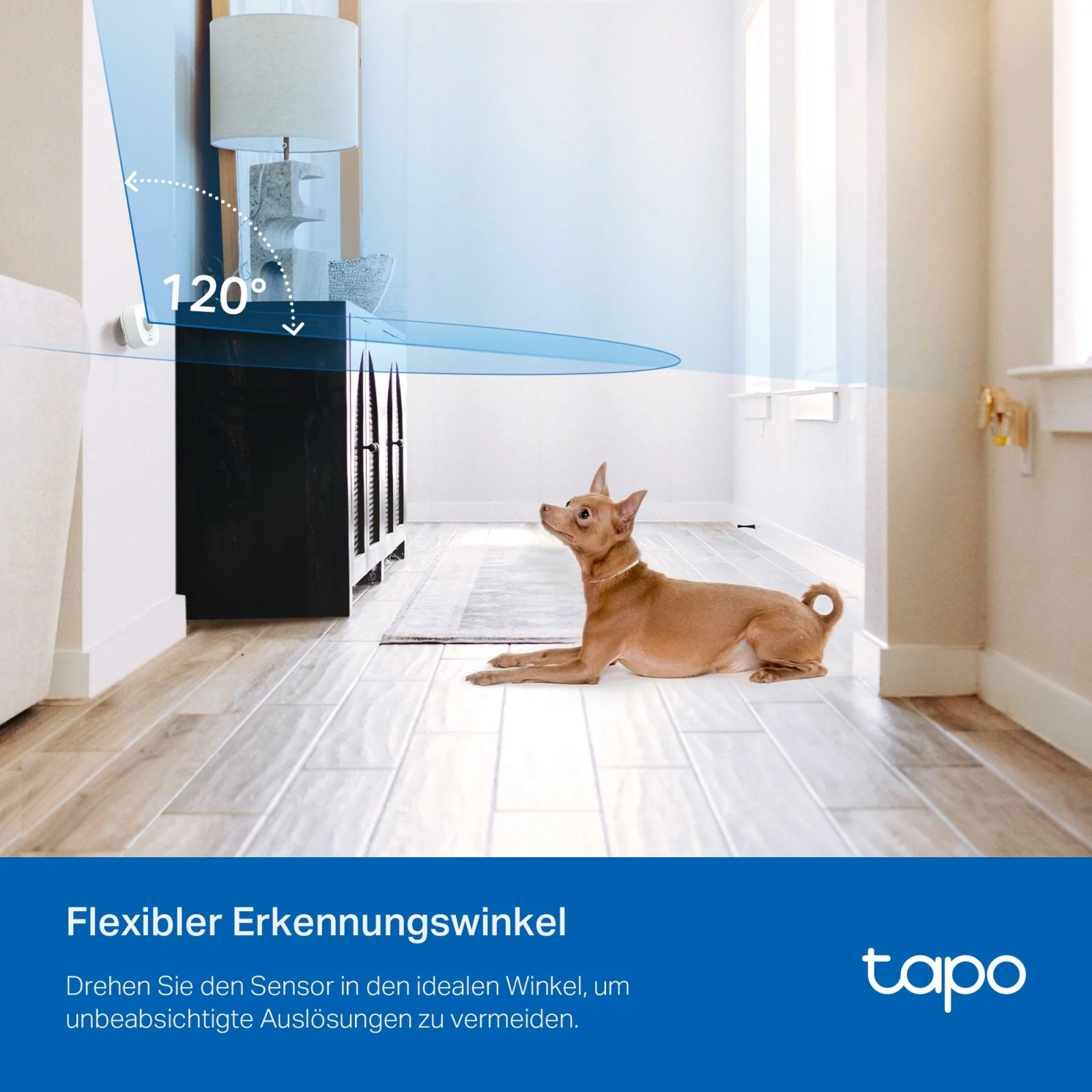 Tapo T100 | Smart Bewegungsmelder mit sofortigem Alarm - Image 6