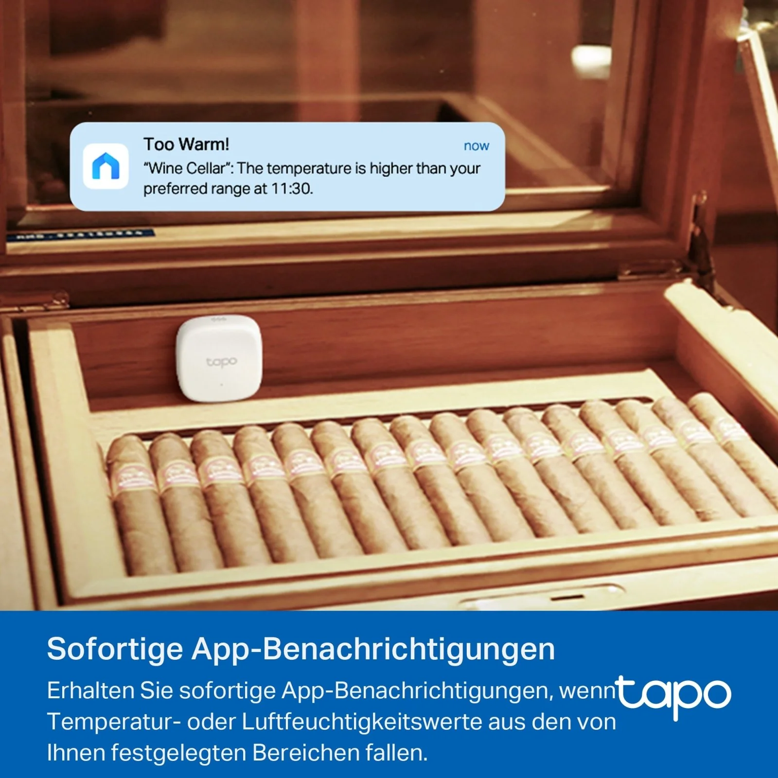 Tapo T310 | Smart Temperatur- und Feuchtigkeitsmonitor Echtzeitdaten - Image 5